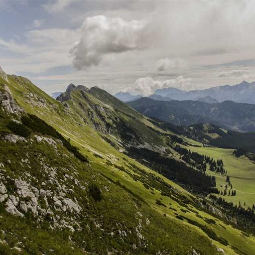 Upaya Menyelamatkan Ekosistem Laut dari Polusi Plastik